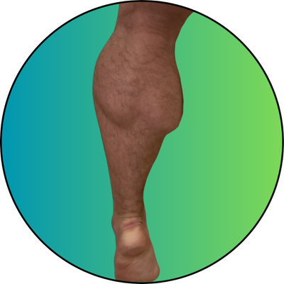 doctorcalf's profile picture. 