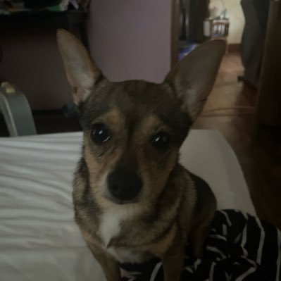 BluebirdMOM7's profile picture. Vote BLUE and remove the Lunatic from our White House