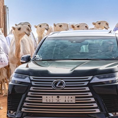 1983mfm1983's profile picture. 