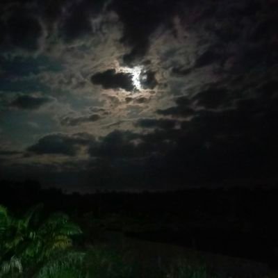 mishealleyira's profile picture. your inner self is the same with the universe 🌌