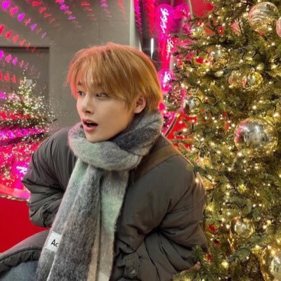 vinniesmoon's profile picture. ☽⋆⁺₊merry bangchanmas⋆⁺₊☾ || ✮⋆˙ot8 skz 4lifer⋆˙✮ || ʚseungholitasɞ