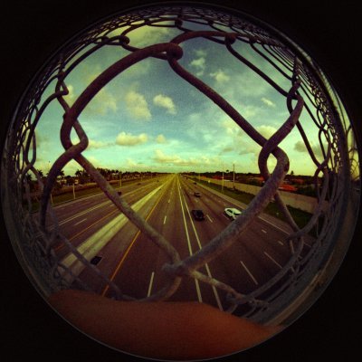 vera_arts_nft's profile picture. multi medium artist