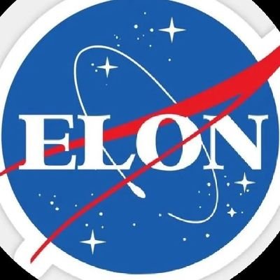 DogeElon77017's profile picture. Elon real musk