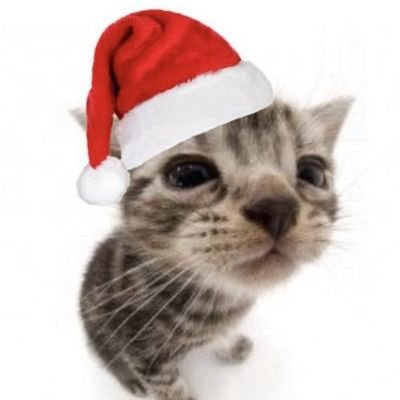 Underdog840's profile picture. Just vibing- totemtwt🦈- PRXWIN🦖-black🖤-private @StarLight551114