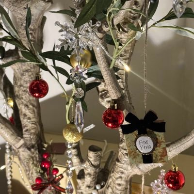 sohasa3eed's profile picture. مادمت لم تضر  فتاگد أن البدئل دائماً أجمل 🌱🤍