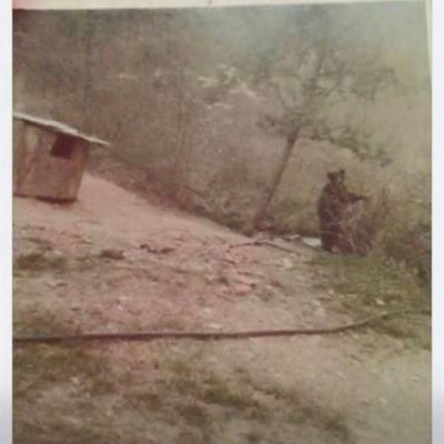 docwill1776's profile picture. Freedom isn't Free