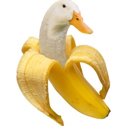 chuddamad64462's profile picture. 