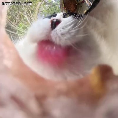 WiLLoW696's profile picture. ''Remember this, Freedom is a pure idea.''