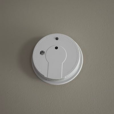 burgenflickle's profile picture. 