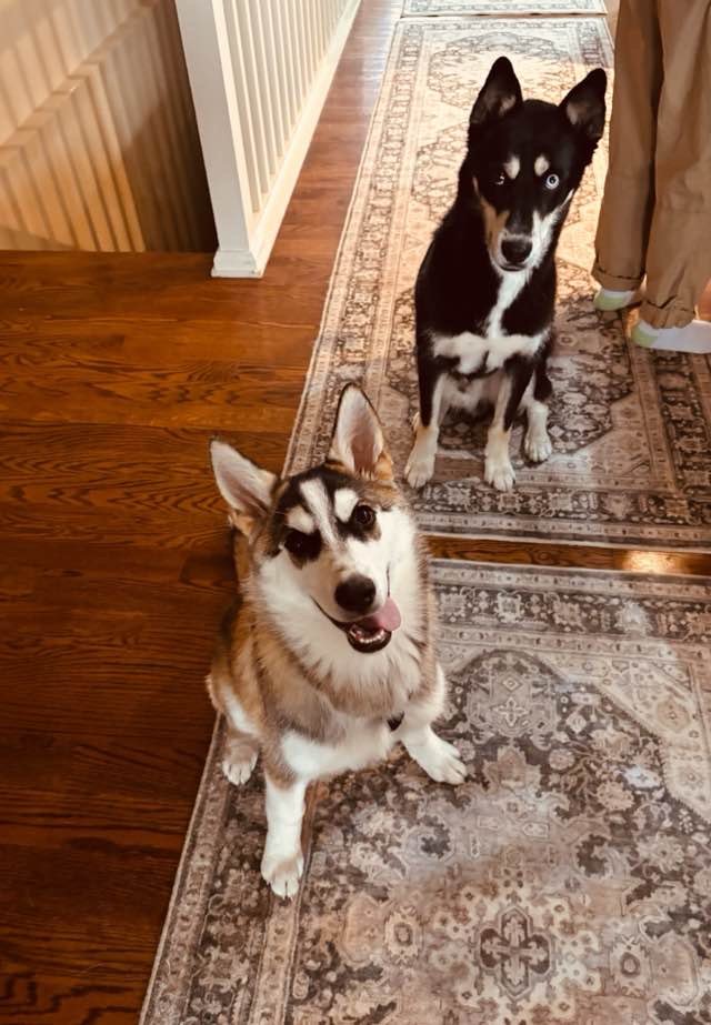 VioletGuide9438's profile picture. 