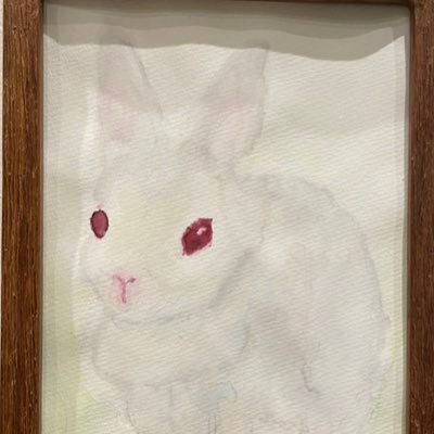 XIUKAV's profile picture. 