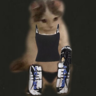 Rafaelsilv94796's profile picture. 