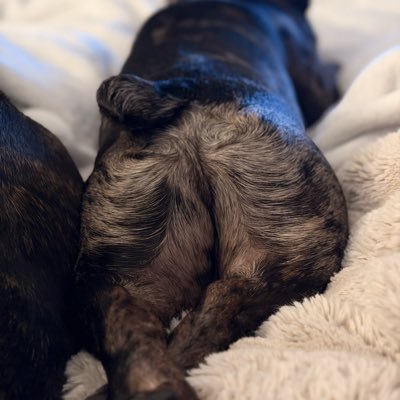 rabbitbde's profile picture. PNW