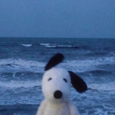 remco404's profile picture. 