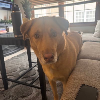 sul9023's profile picture. 