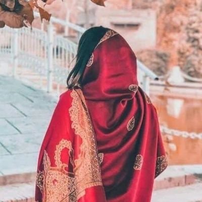 ThisisAlphaaX's profile picture. Cybersecurity Foundation Mentor | STEM Advocate | Author | 
IG: nighatsolangi.42