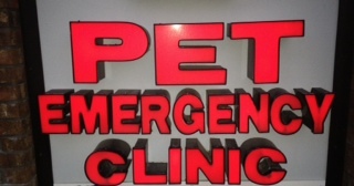AffiliatedPets's profile picture. Regional #dog and #cat #emergency trauma center for for #Gainesville and #North Central Florida