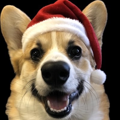 NavidNamazi's profile picture. 