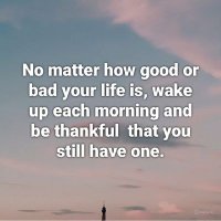 Mz Piggy 🐷 read bio for top tips (@restedin) 's Twitter Profile Photo