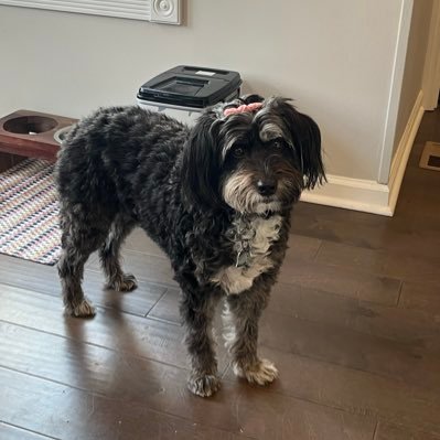 claytucker6390's profile picture. 