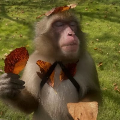 _desertprince's profile picture. الحمدلله