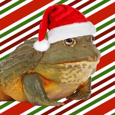 largetoad09's profile picture. 2 Corinthians 5:17 - Everything I will ever have I owe to God - Lutheran - I stand with my president Donald John Trump