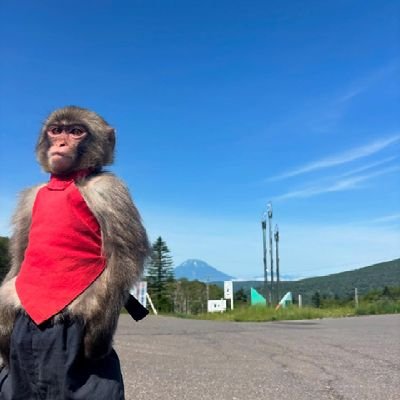 makuo66's profile picture. Chelsea 💙 | Champions of the World | 18+