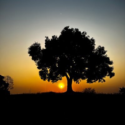 innas_arts's profile picture. Mobile Photography l Sharing my story through my lens. 🥀📸  Available for bookings and collaborations!