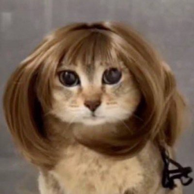 AmberGambling's profile picture. xanadu