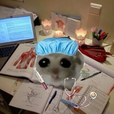 estudajuao's profile picture. 