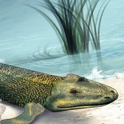 solidcrease's profile picture. only the most enticing 😏 content