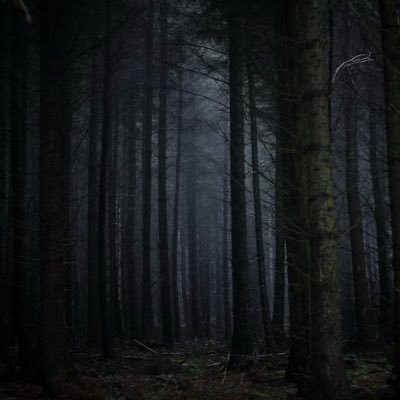 hlsdisovery's profile picture. 