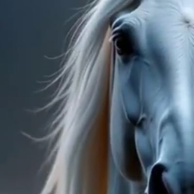 TermiNanny's profile picture. Live, Love, Laugh just don't DM😏
Extremely Diverse Content Ahead!
doesn't appeal, not meant for you 🤷
rp 🚫 support