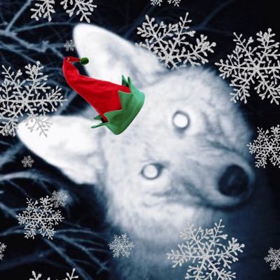 graveyardcoyote's profile picture. cover me in diamonds, throw my body in the trash @gravebarking mdni