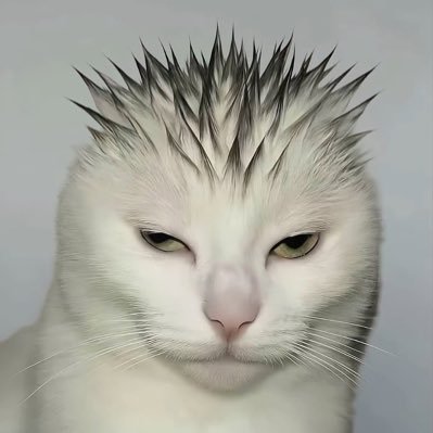 nesselabirinto's profile picture. eu hein