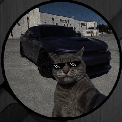 WahabZizo's profile picture. digital marketing nerd