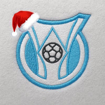 BrasileiraoAR's profile picture. Cuenta Argentina dedicada a la cobertura del fuchibol brasileiro | Ultimo campeón (2024): BOTAFOGO