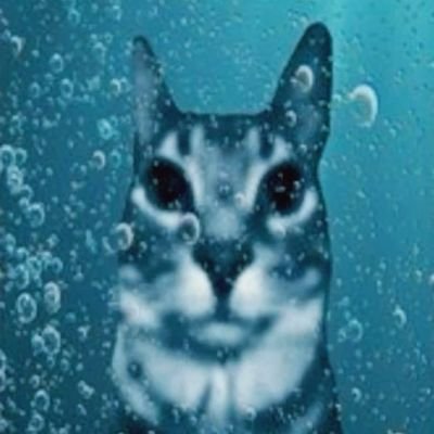 Silly41_'s profile picture. 