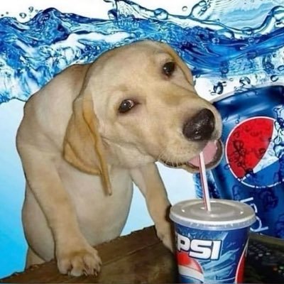 umbranhell's profile picture. profile is a wip