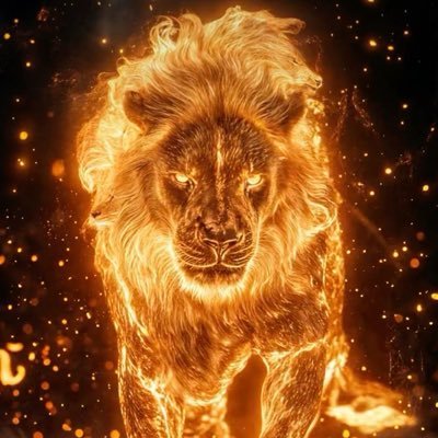 JonasServe73728's profile picture. 