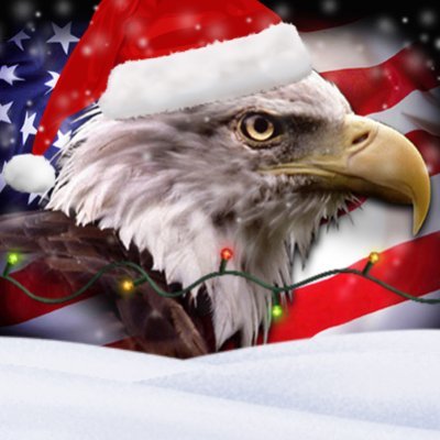 RealConorOil's profile picture. The Christmas Cheer Must Flow! Real 🇺🇸 JOLLY 🇺🇸 Patriot 🇺🇸, proud father of 3, and ender of woke. Conor D. Oil 2028! RIP Ms. Oil, you will be missed.