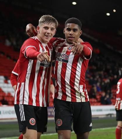 FinBroxhe's profile picture. 