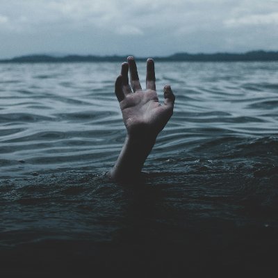 BlueTeamBardiel's profile picture. 01100010 01101100 01110101 01100101 01110100 01100101 01100001 01101101 01100010 01100001 01110010 01100100 01101001 01100101 01101100