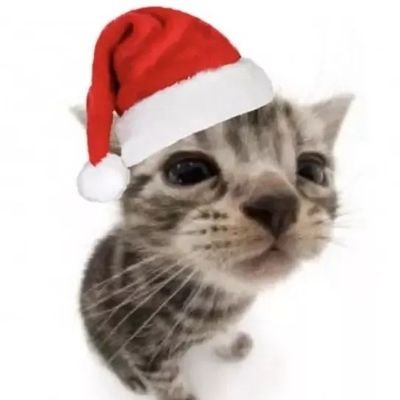 villanelleti's profile picture. written and directed by phoebe waller-bridge.