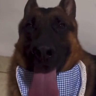 _rice_balls's profile picture. twenty ♡ she/her ♡ shedtwt ♡ neurodivergent ♡ send me anon messages on strawpage!!!!