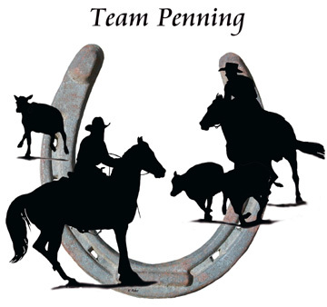 We are a club of dedicated horsemen and women who get together on a regular basis to learn and promote Safety and Confidence for both the Horse and Rider.