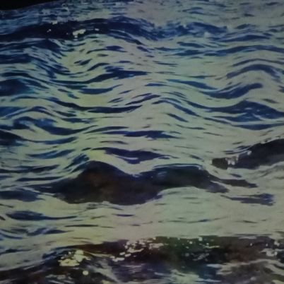 anaelvvv's profile picture. biblia virtual