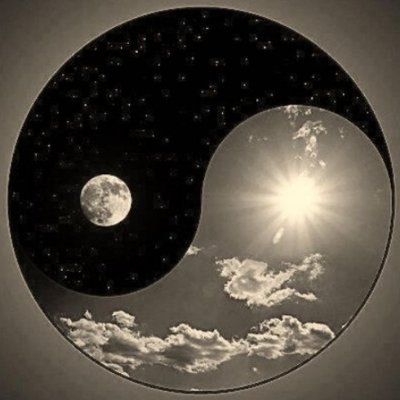 __Sevilayy's profile picture. DM🚫