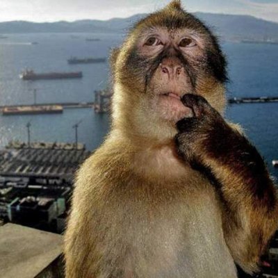 LostMemeOG's profile picture. Created this account after the OG Lost Memes account got sold to a slop farm and deleted all the original posts.