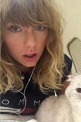 raquel_mis37311's profile picture. A song writer